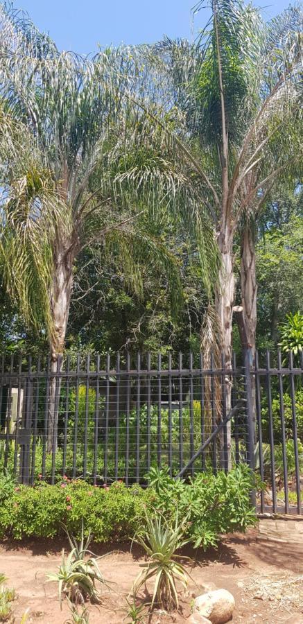 A Farm Stay - Casablanca'S Private Cottage,No Loadshedding! Hazyview Exteriér fotografie
